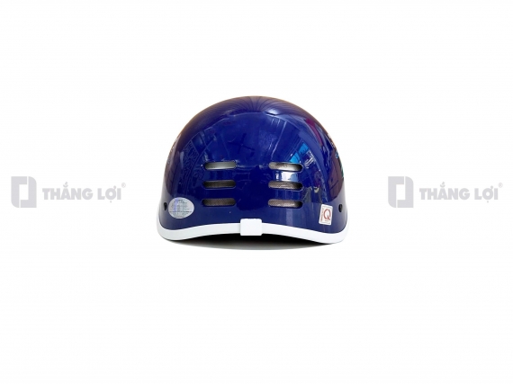 Nón bảo hiểm in hình cá heo Nordic Naturals