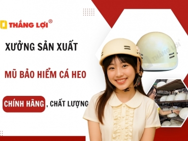 Xưởng sản xuất mũ bảo hiểm cá heo CHÍNH HÃNG, đạt chuẩn